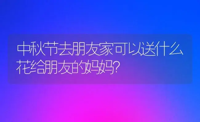 中秋节去朋友家可以送什么花给朋友的妈妈？ | 绿植常识