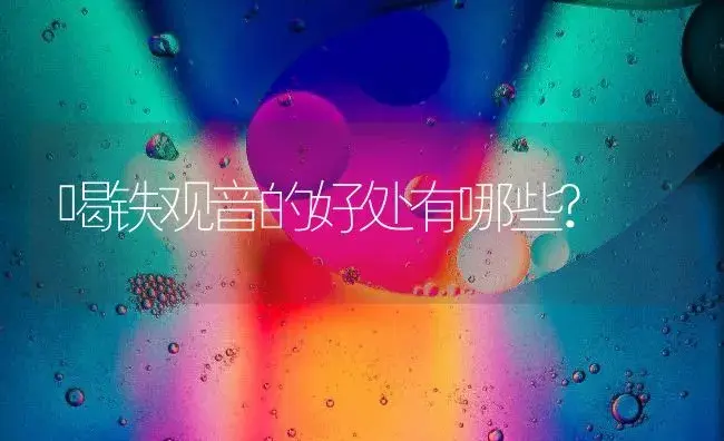 喝铁观音的好处有哪些? | 农作物种植