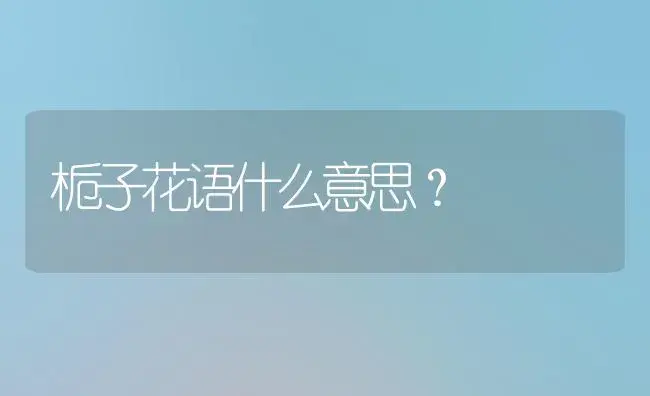 君子兰能不能歪着栽？ | 绿植常识