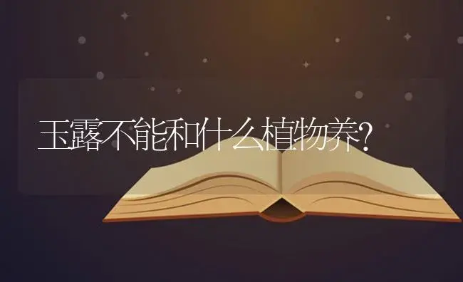 玉露不能和什么植物养？ | 多肉养殖