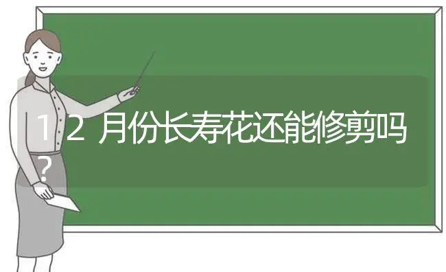 12月份长寿花还能修剪吗？ | 多肉养殖