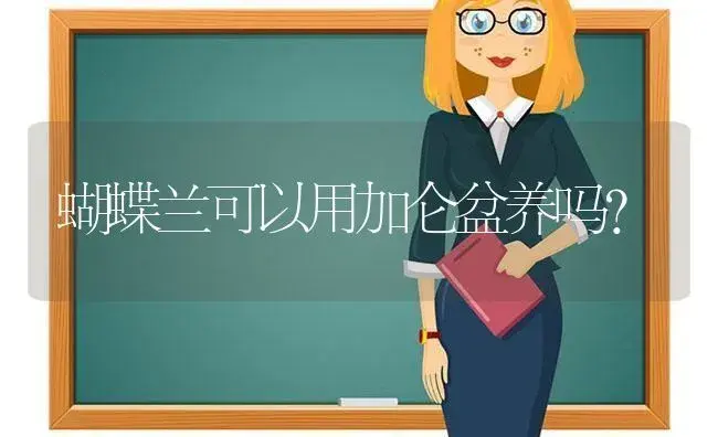 蝴蝶兰可以用加仑盆养吗？ | 绿植常识