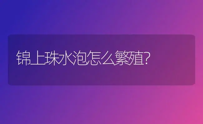 锦上珠水泡怎么繁殖？ | 多肉养殖