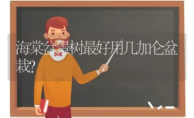 海棠盆景树最好用几加仑盆栽？ | 绿植常识