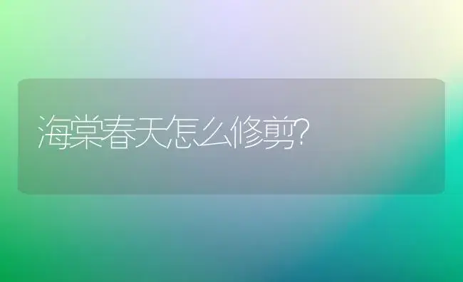 海棠春天怎么修剪？ | 绿植常识