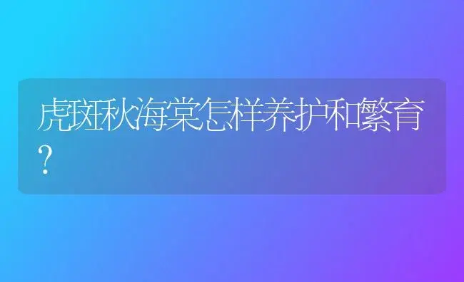 虎斑秋海棠怎样养护和繁育？ | 家庭养花