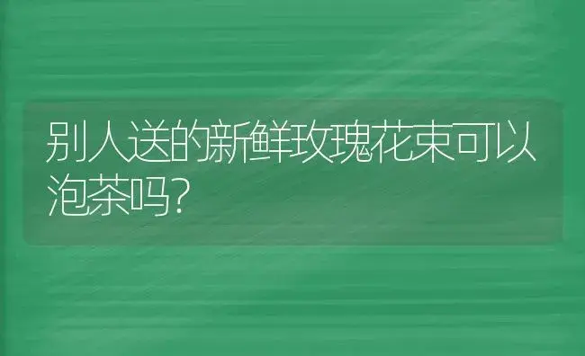 别人送的新鲜玫瑰花束可以泡茶吗？ | 绿植常识