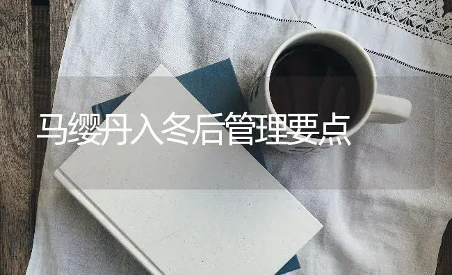 马缨丹入冬后管理要点 | 特种种植