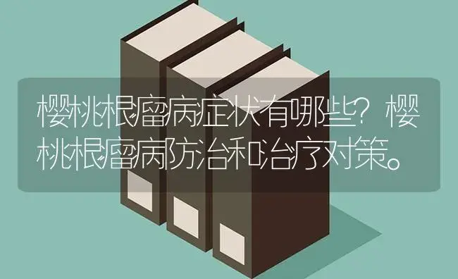 樱桃根瘤病症状有哪些？樱桃根瘤病防治和治疗对策。 | 果木种植