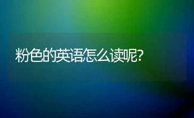 粉色的英语怎么读呢？ | 绿植常识