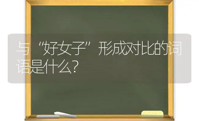 与“好女子”形成对比的词语是什么？ | 多肉养殖