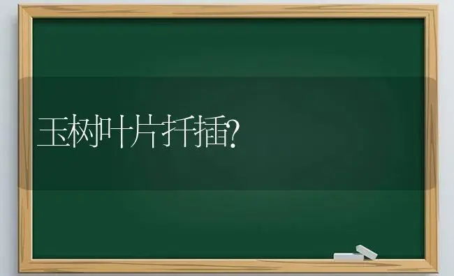 玉树叶片扦插？ | 多肉养殖
