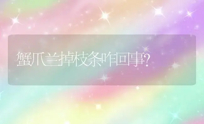 玉露能耐多少度高温？ | 多肉养殖