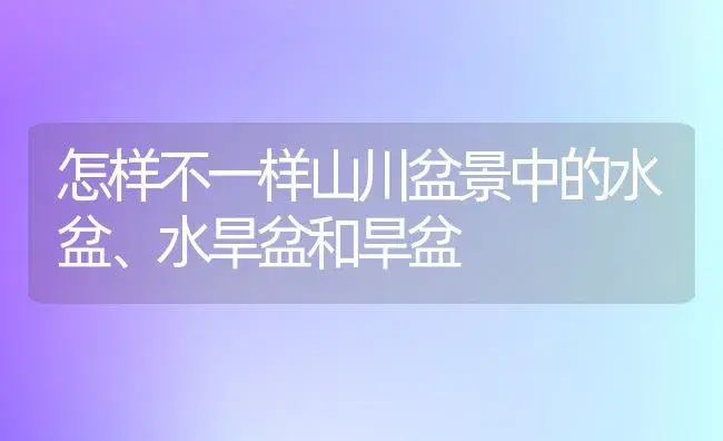 怎样不一样山川盆景中的水盆、水旱盆和旱盆 | 家庭养花