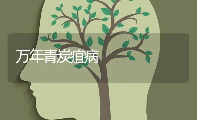 金银花养殖技术 | 特种种植