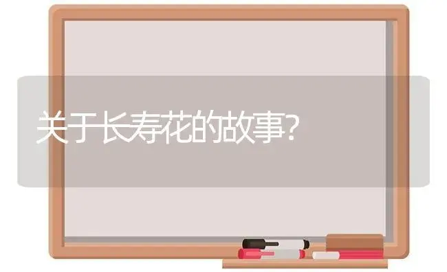 关于长寿花的故事？ | 多肉养殖