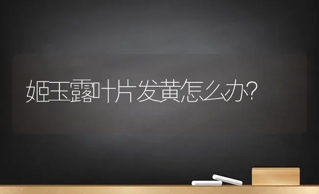 姬玉露叶片发黄怎么办？ | 多肉养殖