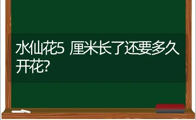 水仙花5厘米长了还要多久开花？ | 绿植常识