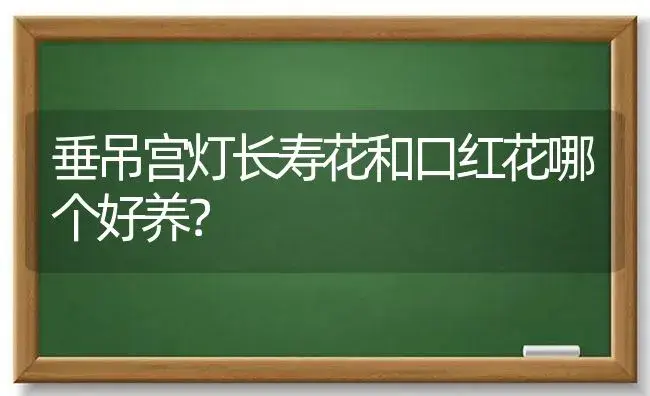 垂吊宫灯长寿花和口红花哪个好养？ | 多肉养殖