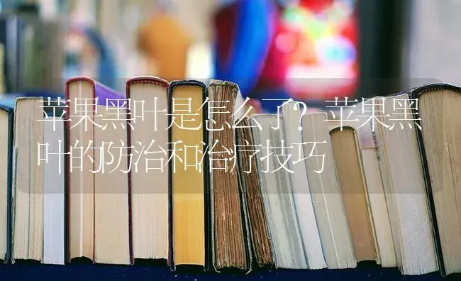 苹果黑叶是怎么了？苹果黑叶的防治和治疗技巧 | 果木种植