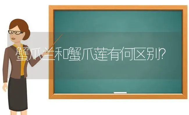 蟹爪兰和蟹爪莲有何区别？ | 多肉养殖