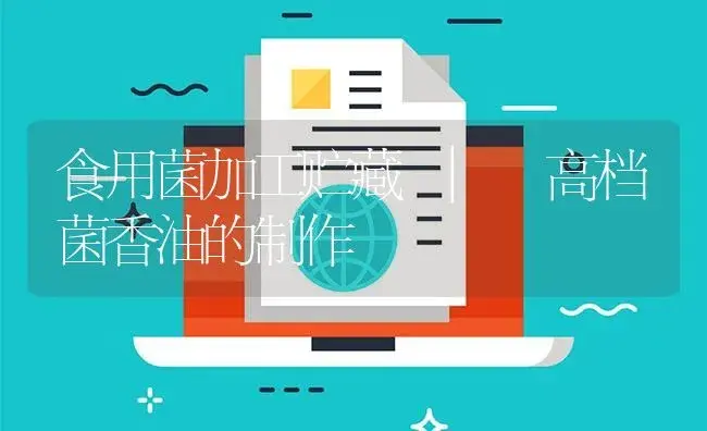 高档菌香油的制作 | 菌菇种植
