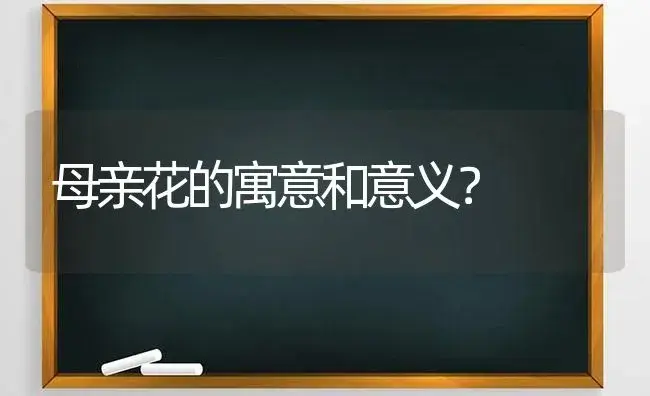 母亲花的寓意和意义？ | 绿植常识