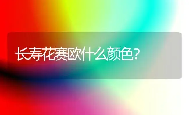 长寿花赛欧什么颜色？ | 多肉养殖