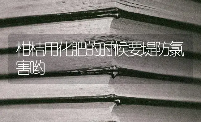 柑桔用化肥的时候要堤防氯害哟 | 果木种植