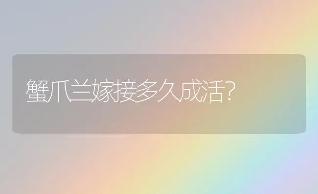 蟹爪兰嫁接多久成活？ | 多肉养殖