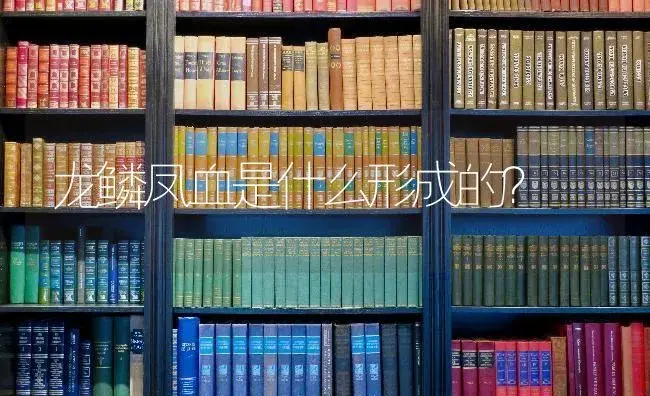 龙鳞凤血是什么形成的？ | 多肉养殖