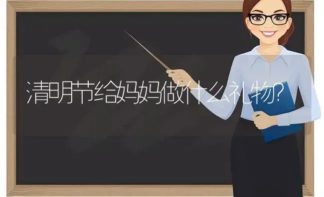 清明节给妈妈做什么礼物？ | 绿植常识