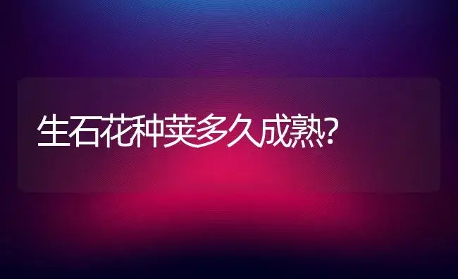 生石花种荚多久成熟？ | 多肉养殖