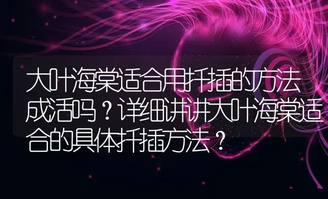 大叶海棠适合用扦插的方法成活吗？详细讲讲大叶海棠适合的具体扦插方法？ | 绿植常识