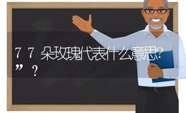 77朵玫瑰代表什么意思?”？ | 绿植常识