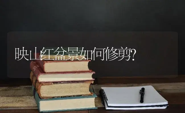 映山红盆景如何修剪？ | 绿植常识