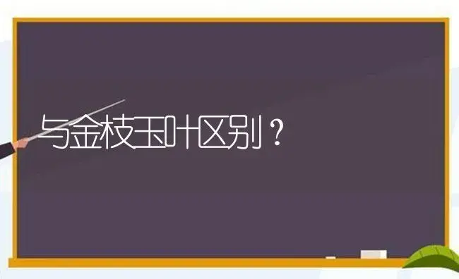 与金枝玉叶区别？ | 多肉养殖