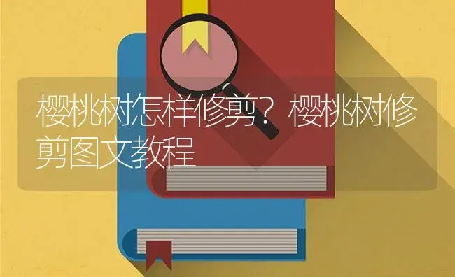 樱桃树怎样修剪？樱桃树修剪图文教程 | 果木种植