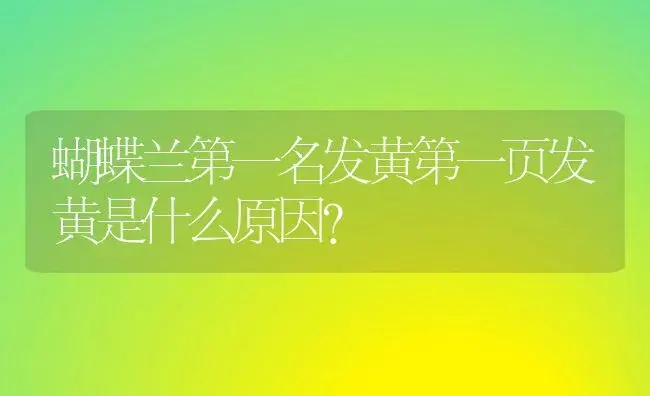 蝴蝶兰第一名发黄第一页发黄是什么原因？ | 绿植常识