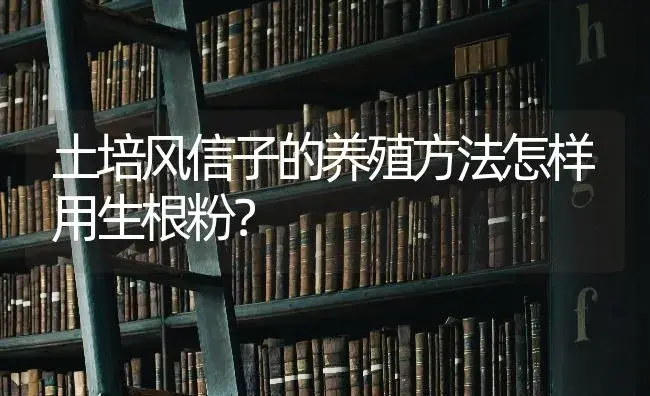 土培风信子的养殖方法怎样用生根粉？ | 绿植常识