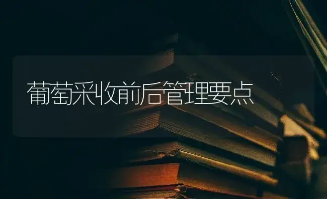 葡萄采收前后管理要点 | 特种种植