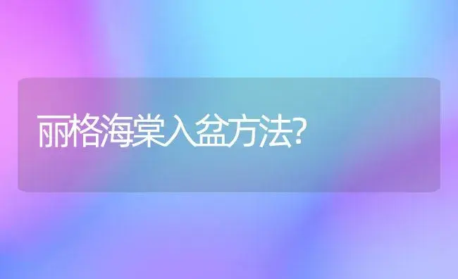 君子兰底叶半边发黄？ | 绿植常识