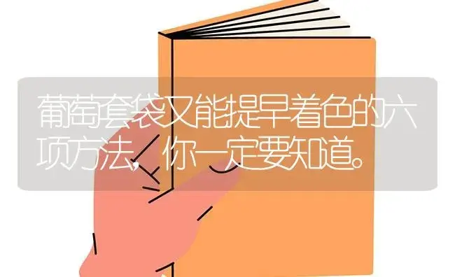 葡萄套袋又能提早着色的六项方法，你一定要知道。 | 果木种植