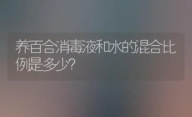 养百合消毒液和水的混合比例是多少？ | 绿植常识