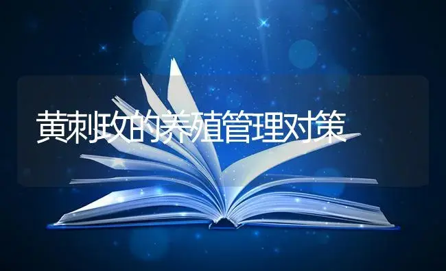 黄刺玫的养殖管理对策 | 特种种植