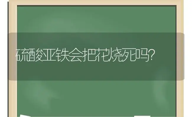 硫酸亚铁会把花烧死吗？ | 绿植常识