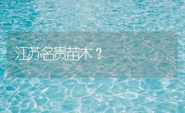 水仙水培法？ | 绿植常识