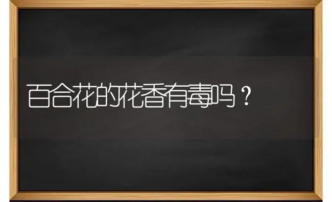 百合花的花香有毒吗？ | 绿植常识