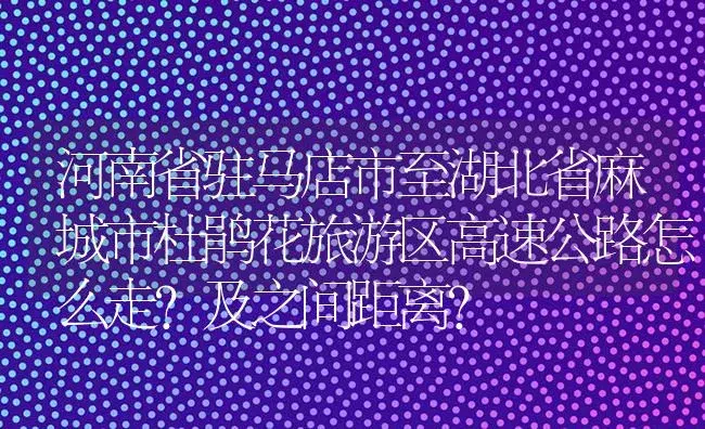 河南省驻马店市至湖北省麻城市杜鹃花旅游区高速公路怎么走?及之间距离？ | 绿植常识