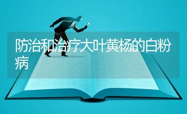 防治和治疗大叶黄杨的白粉病 | 特种种植